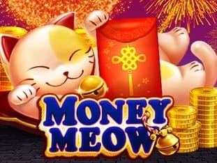 Money Meow game icon
